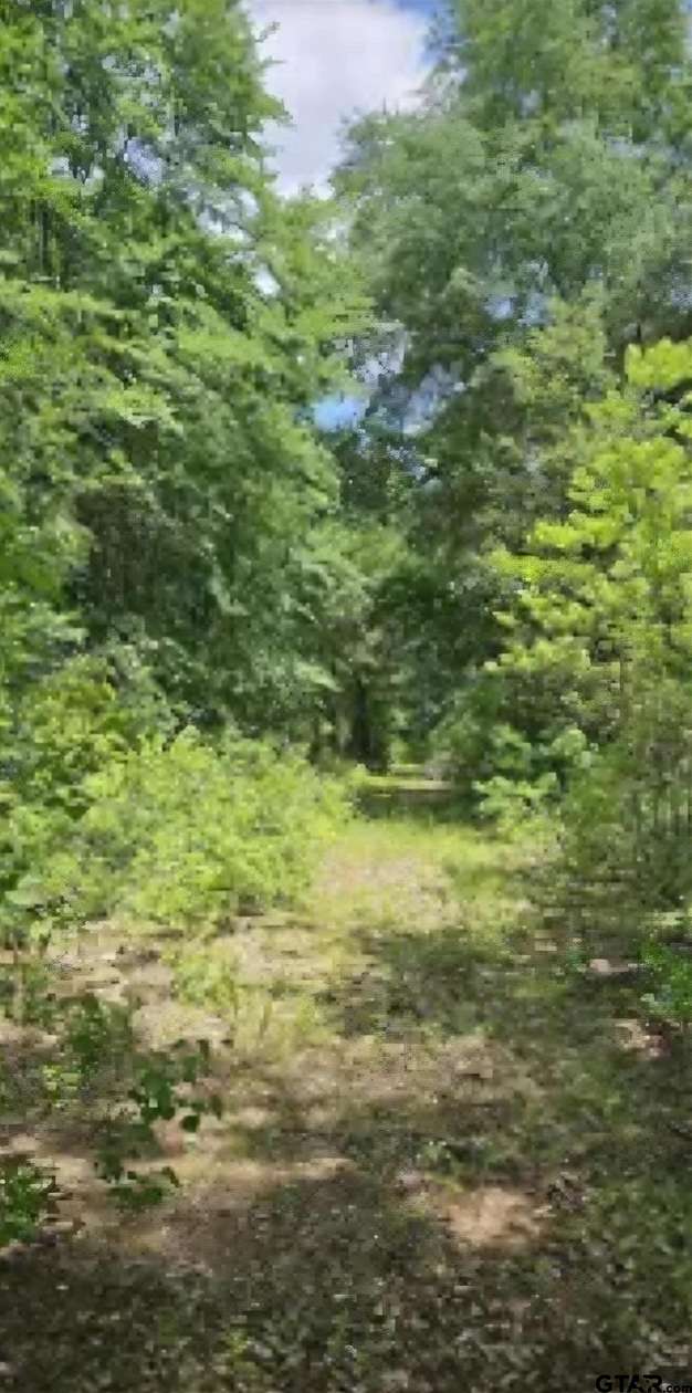 6 Acres of Residential Land for Sale in Alba, Texas