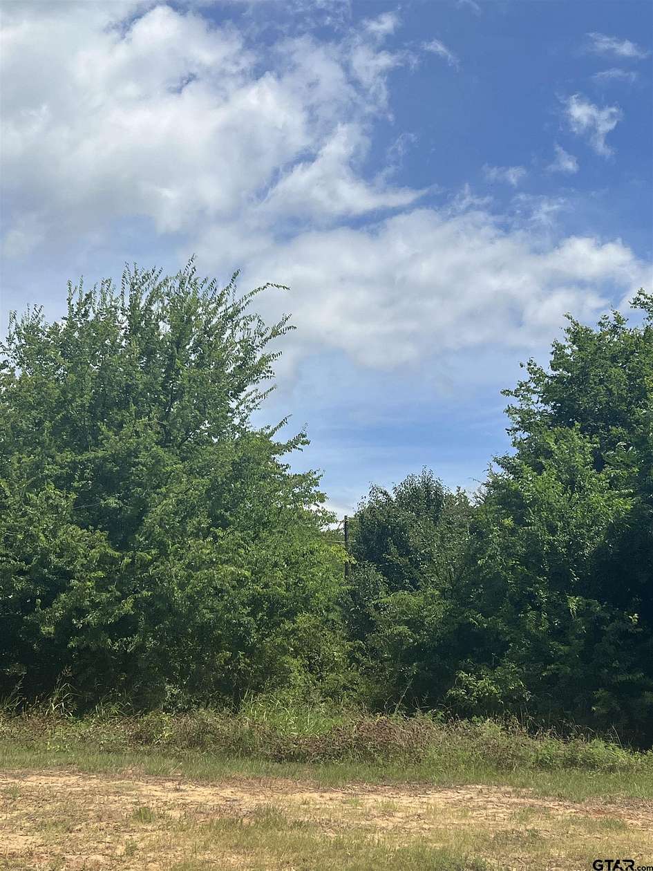 0.8 Acres of Residential Land for Sale in Ben Wheeler, Texas