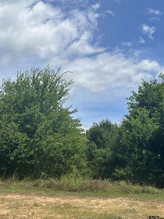 0.8 Acres of Residential Land for Sale in Ben Wheeler, Texas