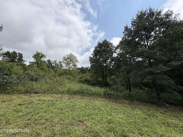 1 Acre of Residential Land for Sale in Strawberry Plains, Tennessee