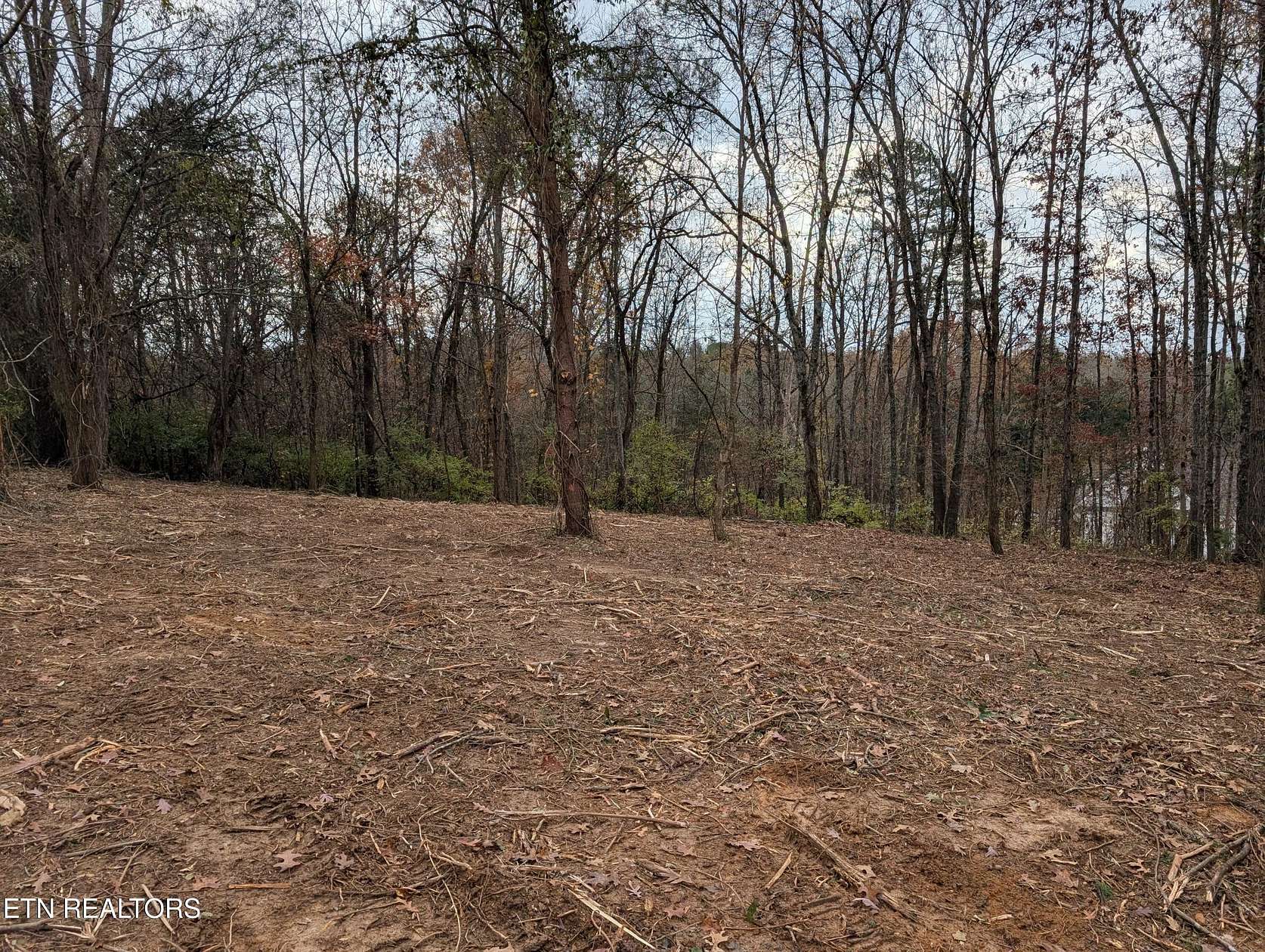 1.2 Acres of Residential Land for Sale in Strawberry Plains, Tennessee