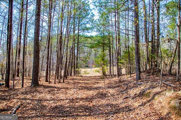 24.9 Acres of Recreational & Residential Land for Sale in Villa Rica, Georgia