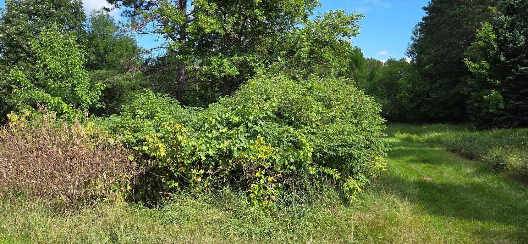 1.12 Acres of Land for Sale in International Falls, Minnesota