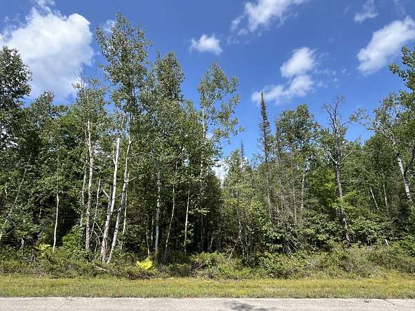 0.34 Acres of Residential Land for Sale in Presque Isle, Michigan