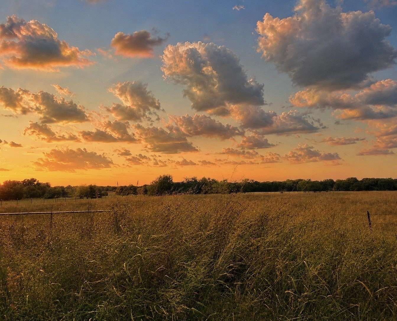 11 Acres of Land for Sale in Sulphur Bluff, Texas