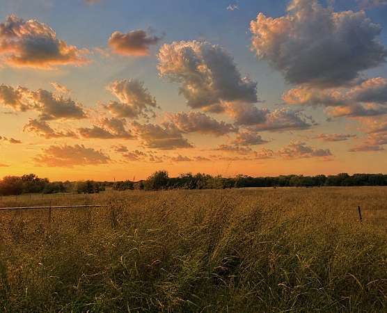 11 Acres of Land for Sale in Sulphur Bluff, Texas
