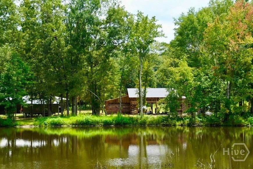 124 Acres of Recreational Land for Sale in Waynesboro, Georgia