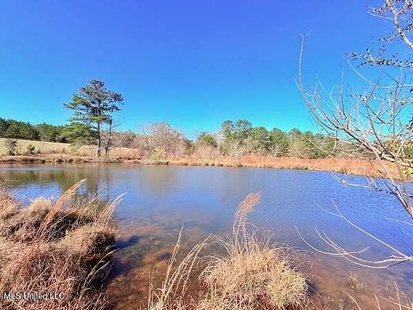20 Acres of Recreational Land for Sale in Mount Hermon, Louisiana