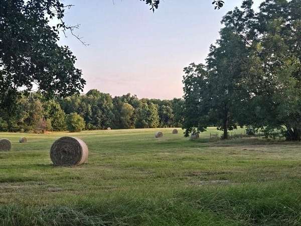 30 Acres of Improved Land for Sale in Arp, Texas