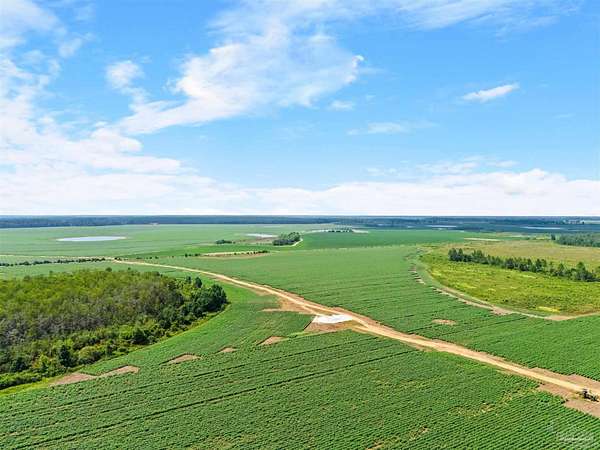 269 Acres of Land for Sale in Atmore, Alabama