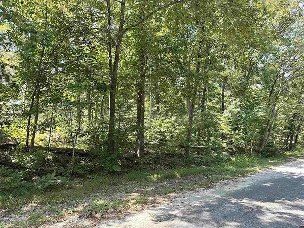 0.11 Acres of Land for Sale in Buchanan, Tennessee