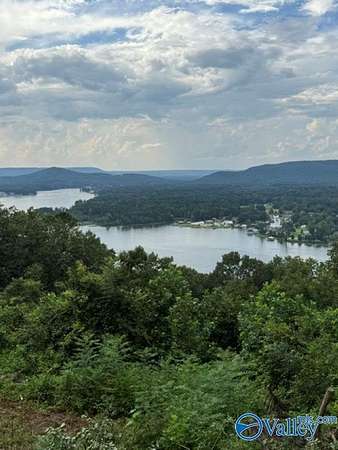 25 Acres of Land with Home for Sale in Ashville, Alabama