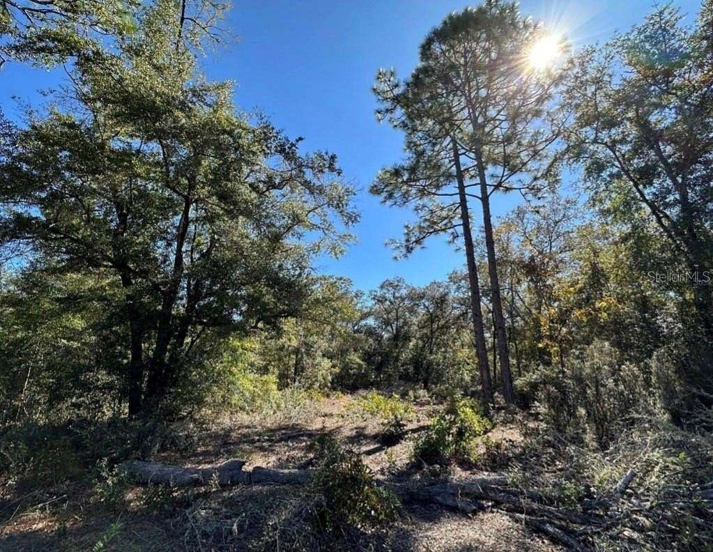 1.25 Acres of Residential Land for Sale in Bronson, Florida