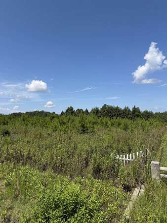 5.4 Acres of Residential Land for Sale in Loris, South Carolina