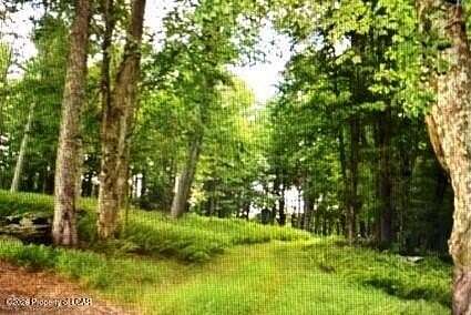 28.6 Acres of Recreational & Residential Land for Sale in Hunlock Creek, Pennsylvania