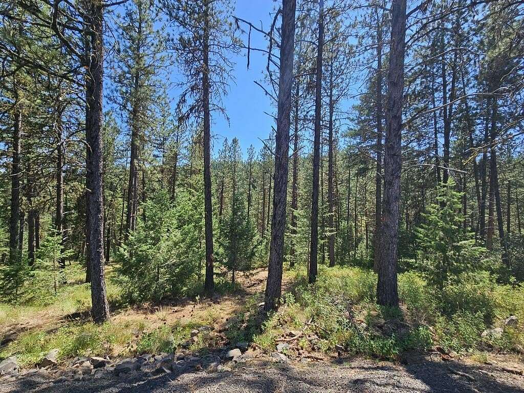 0.99 Acres of Residential Land for Sale in New Meadows, Idaho