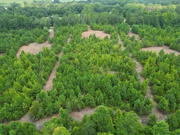 3 Acres of Residential Land for Sale in Goshen, Alabama