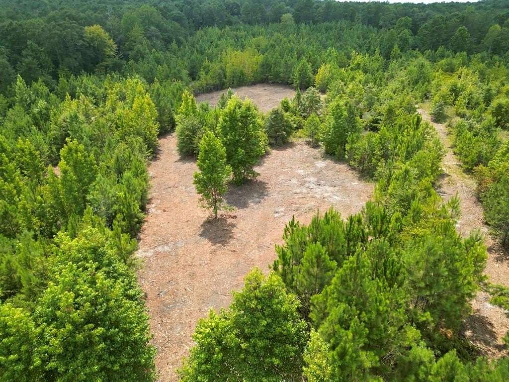3 Acres of Residential Land for Sale in Goshen, Alabama