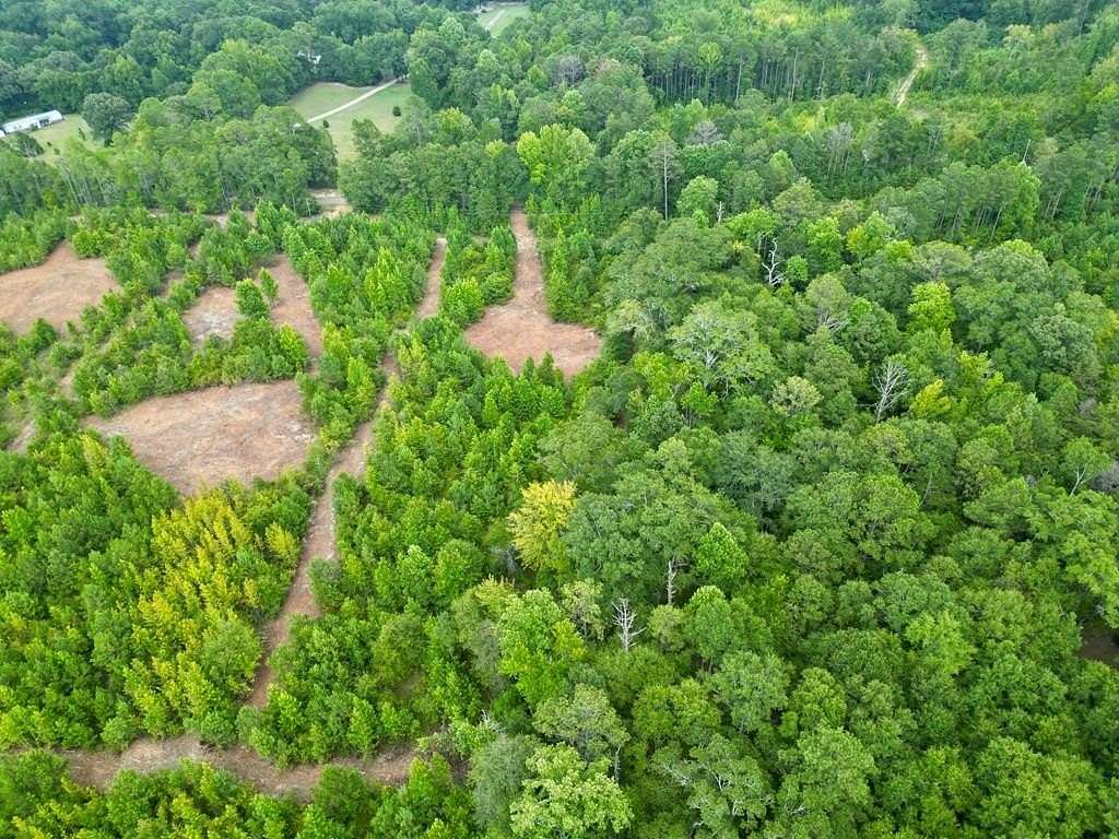 3 Acres of Residential Land for Sale in Goshen, Alabama