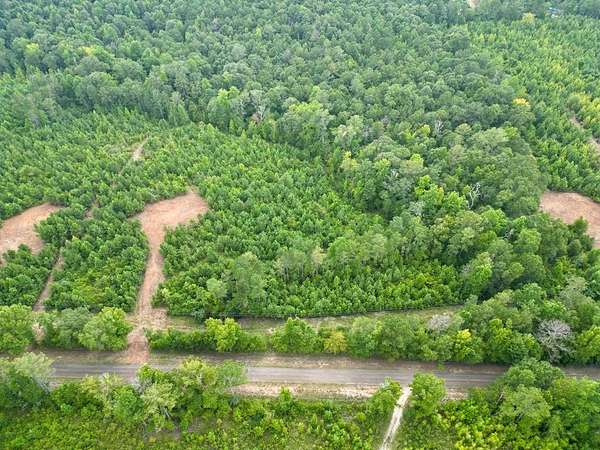 7.78 Acres of Residential Land for Sale in Goshen, Alabama