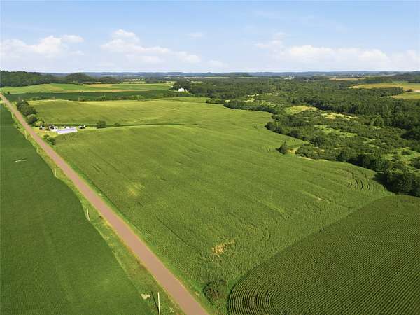116 Acres of Land for Sale in Bloomer, Wisconsin
