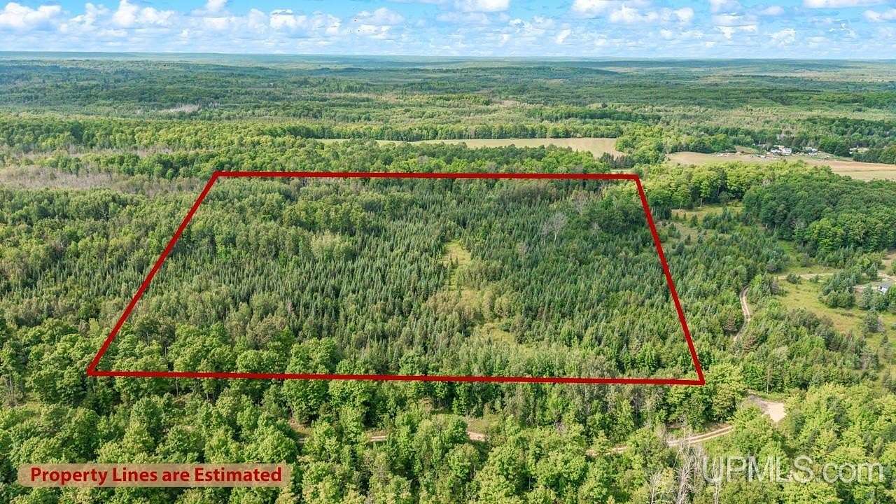 40 Acres of Recreational & Residential Land for Sale in Foster City, Michigan