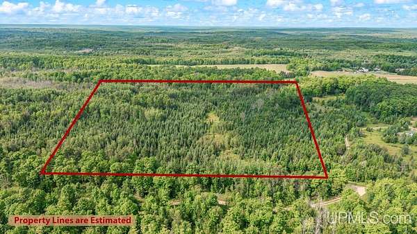 40 Acres of Recreational & Residential Land for Sale in Foster City, Michigan