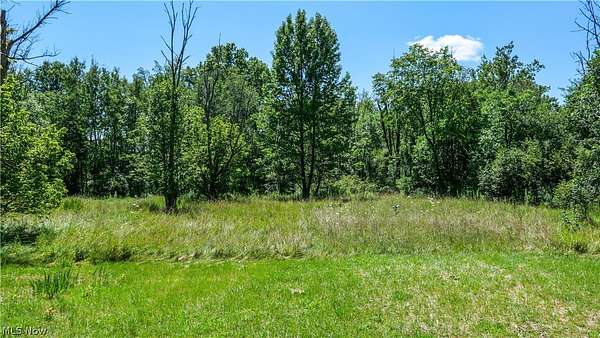 3.75 Acres of Residential Land for Sale in Ravenna, Ohio
