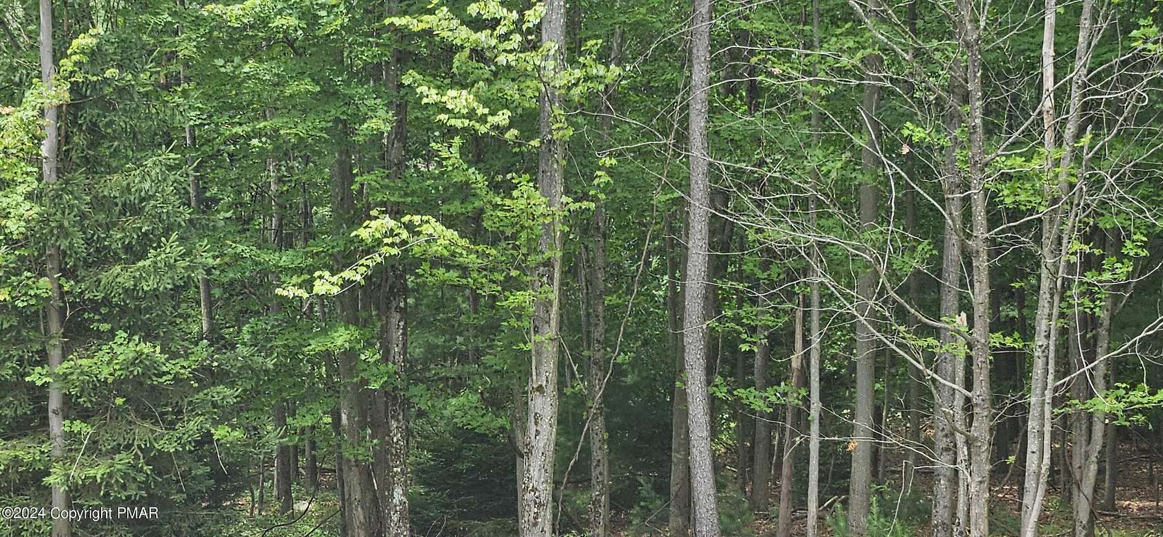 0.35 Acres of Residential Land for Sale in Pocono Summit, Pennsylvania