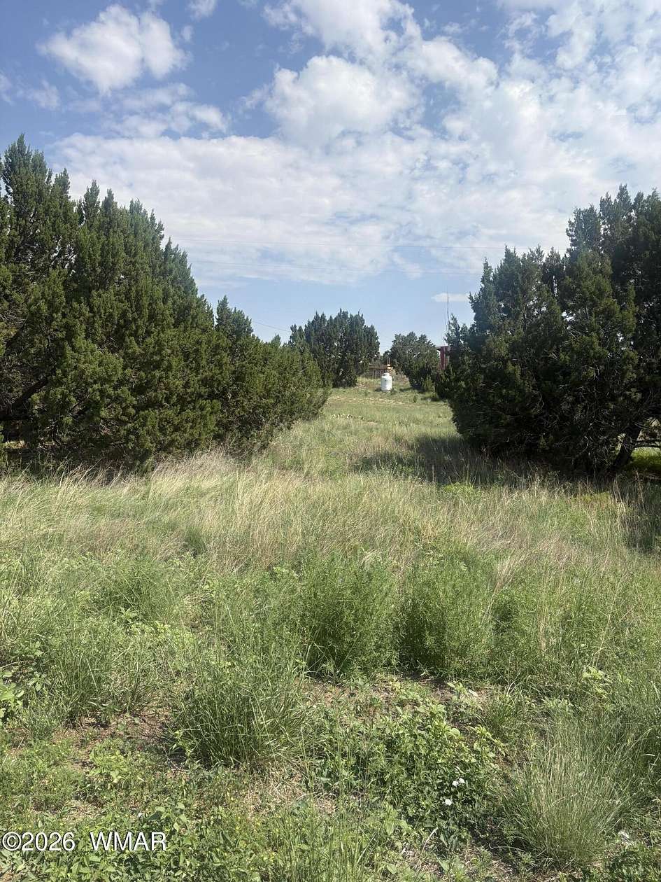 0.79 Acres of Mixed-Use Land for Sale in Concho, Arizona