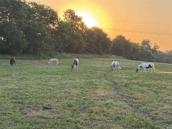 18 Acres of Land with Home for Sale in Van Alstyne, Texas
