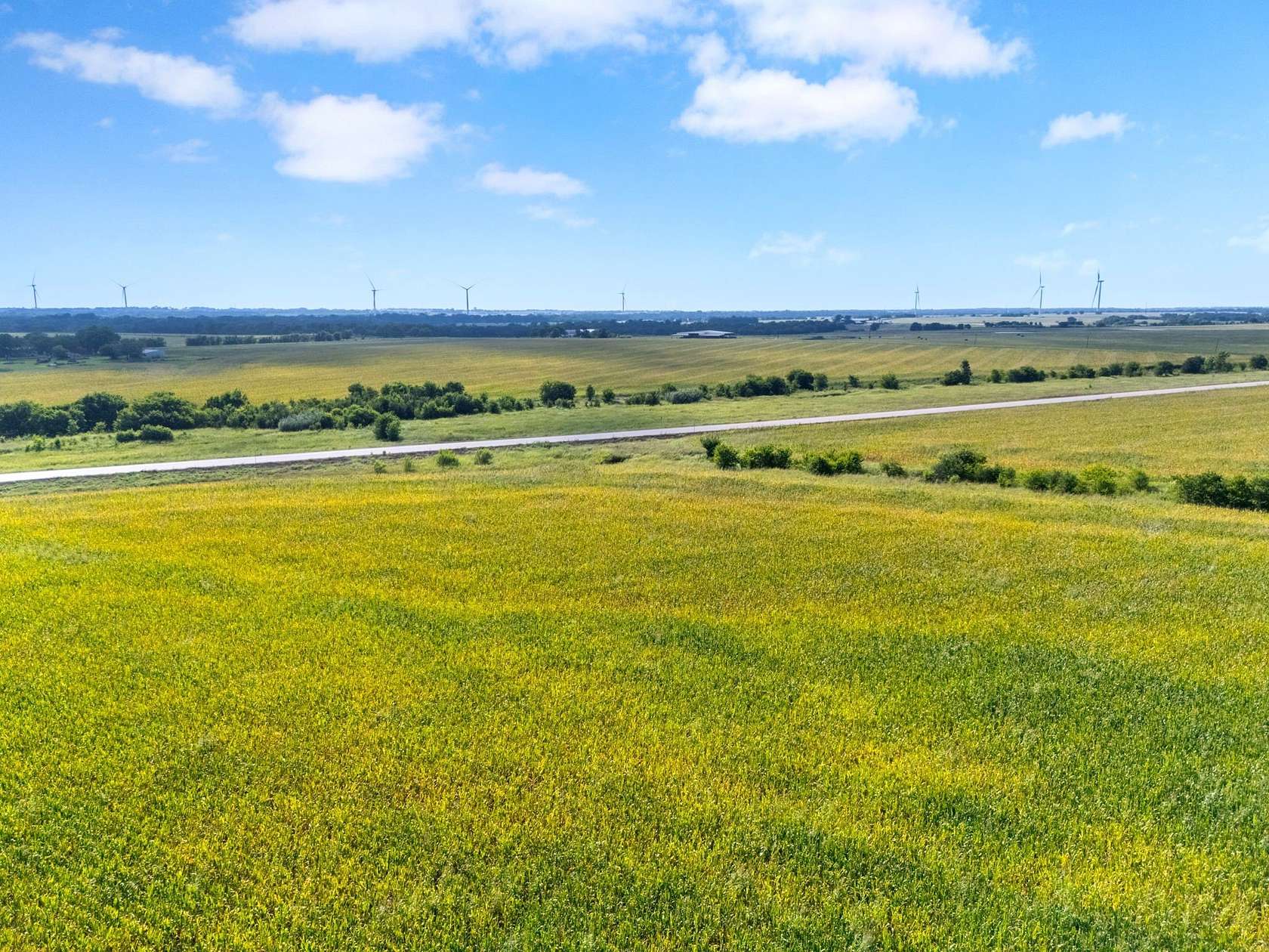 49 Acres of Land for Sale in Mart, Texas