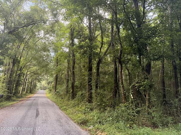 43 Acres of Recreational & Residential Land for Sale in Brookhaven, Mississippi
