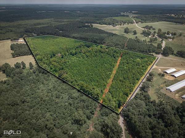 35 Acres of Recreational & Residential Land for Sale in Athens, Louisiana