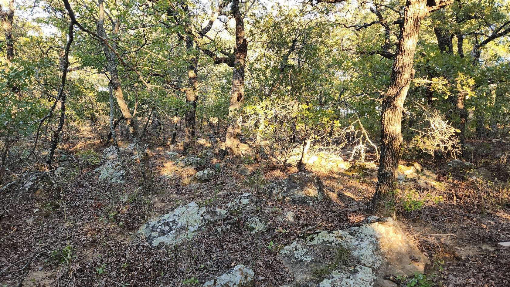 2 Acres of Residential Land for Sale in Sunset, Texas