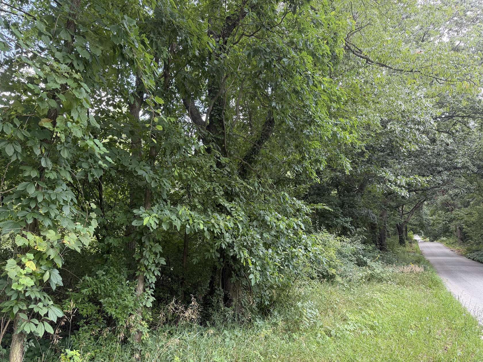 9.43 Acres of Residential Land for Sale in Dowagiac, Michigan