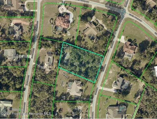 1 Acre of Residential Land for Sale in Weeki Wachee, Florida