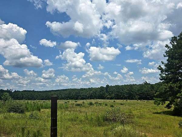 38.5 Acres of Land for Sale in Jasper, Texas