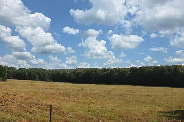 38.5 Acres of Land for Sale in Jasper, Texas