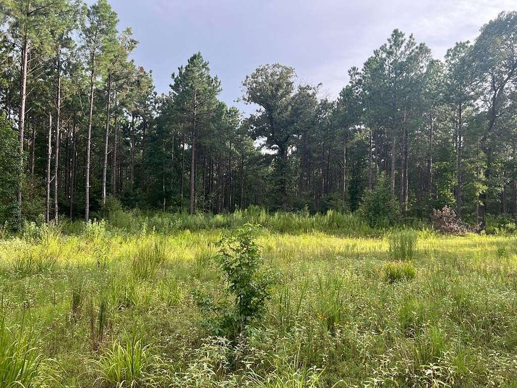 50 Acres of Recreational Land for Sale in Palestine, Texas