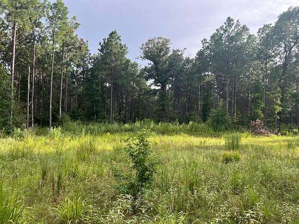 50 Acres of Recreational Land for Sale in Palestine, Texas