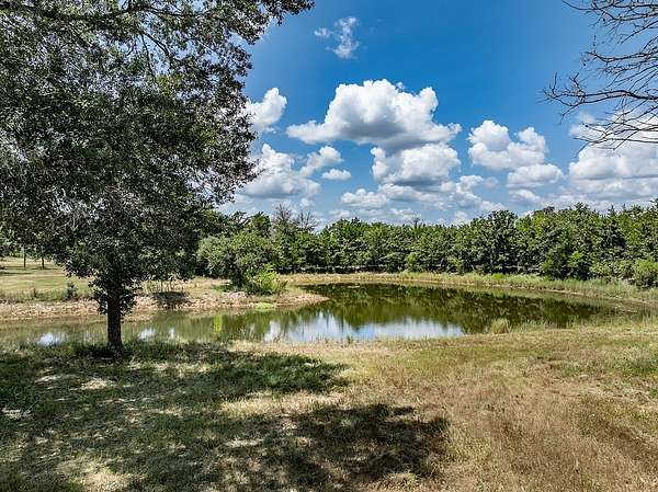 29.3 Acres of Land for Sale in New Ulm, Texas