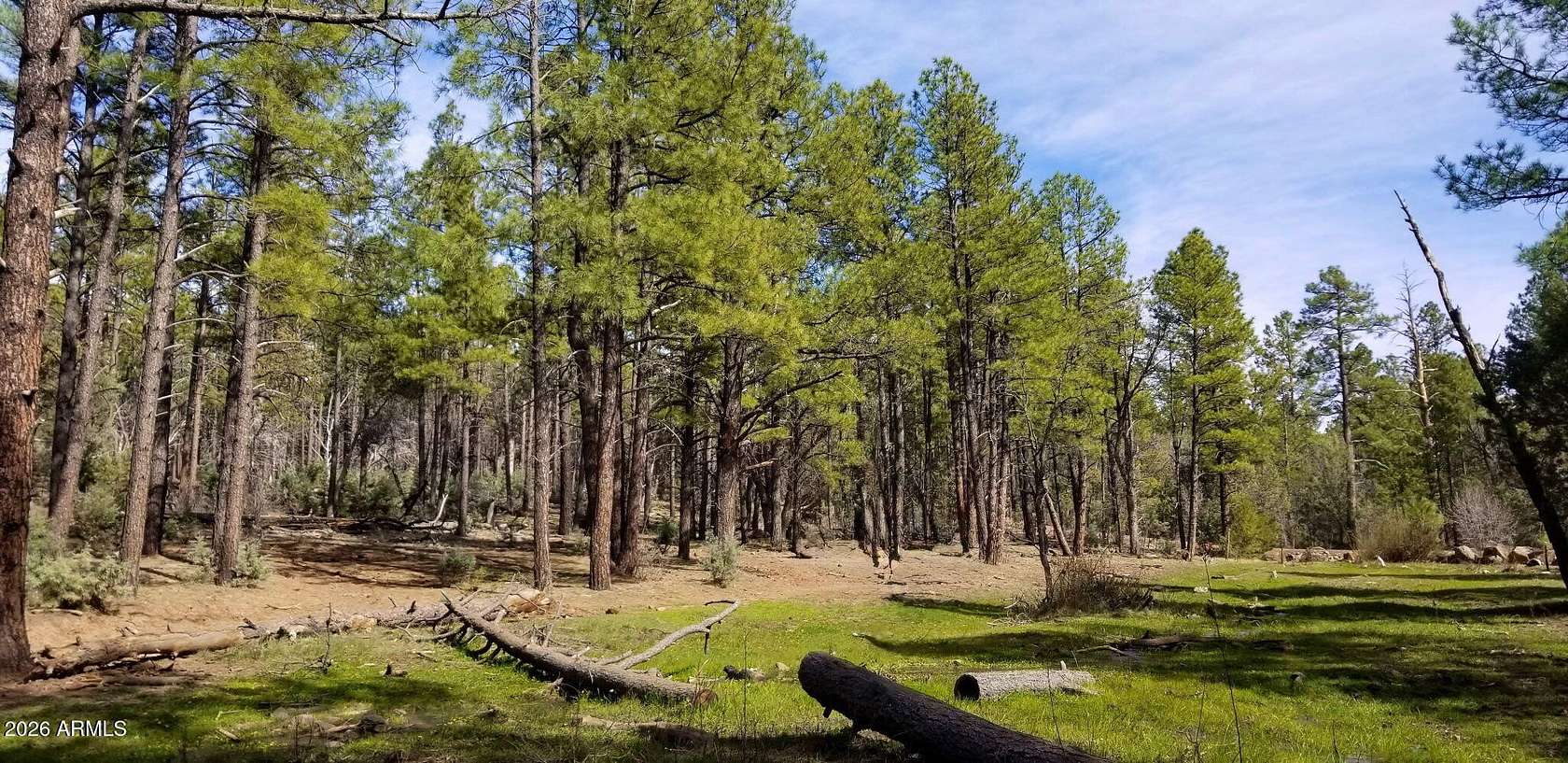 2.52 Acres of Land for Sale in Lakeside, Arizona