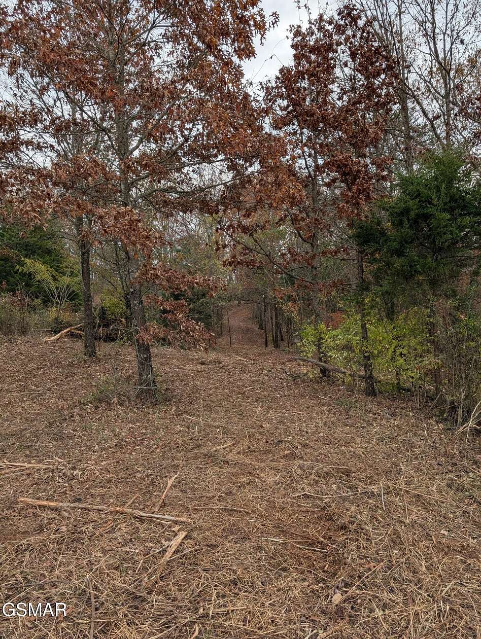 1 Acre of Land for Sale in Strawberry Plains, Tennessee