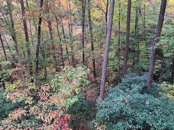 0.78 Acres of Residential Land for Sale in Topton, North Carolina