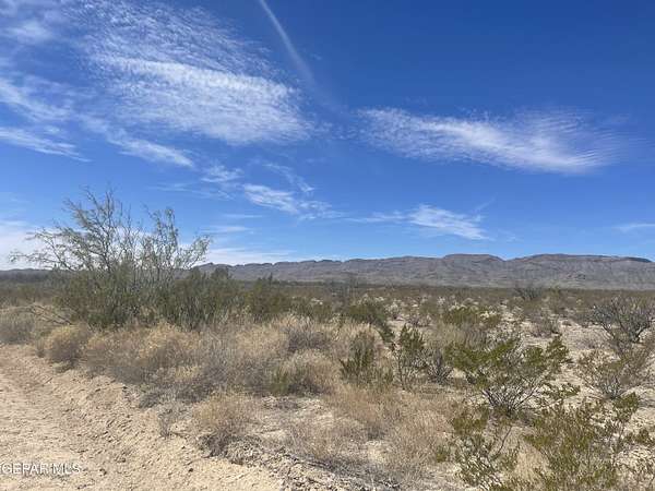 20.3 Acres of Land for Sale in Fabens, Texas