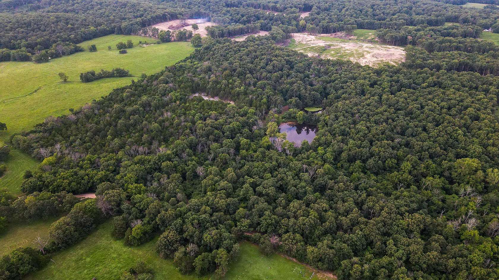48.4 Acres of Recreational & Residential Land for Sale in Mount Vernon, Missouri