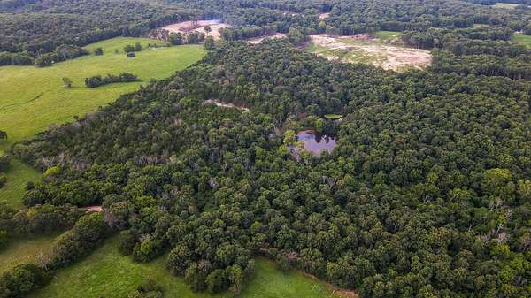 48.4 Acres of Recreational & Residential Land for Sale in Mount Vernon, Missouri