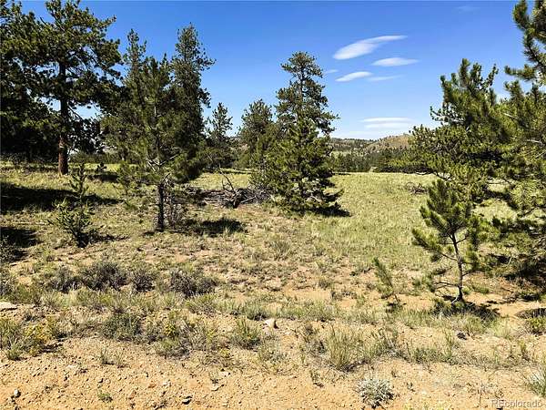 5.8 Acres of Land for Sale in Hartsel, Colorado