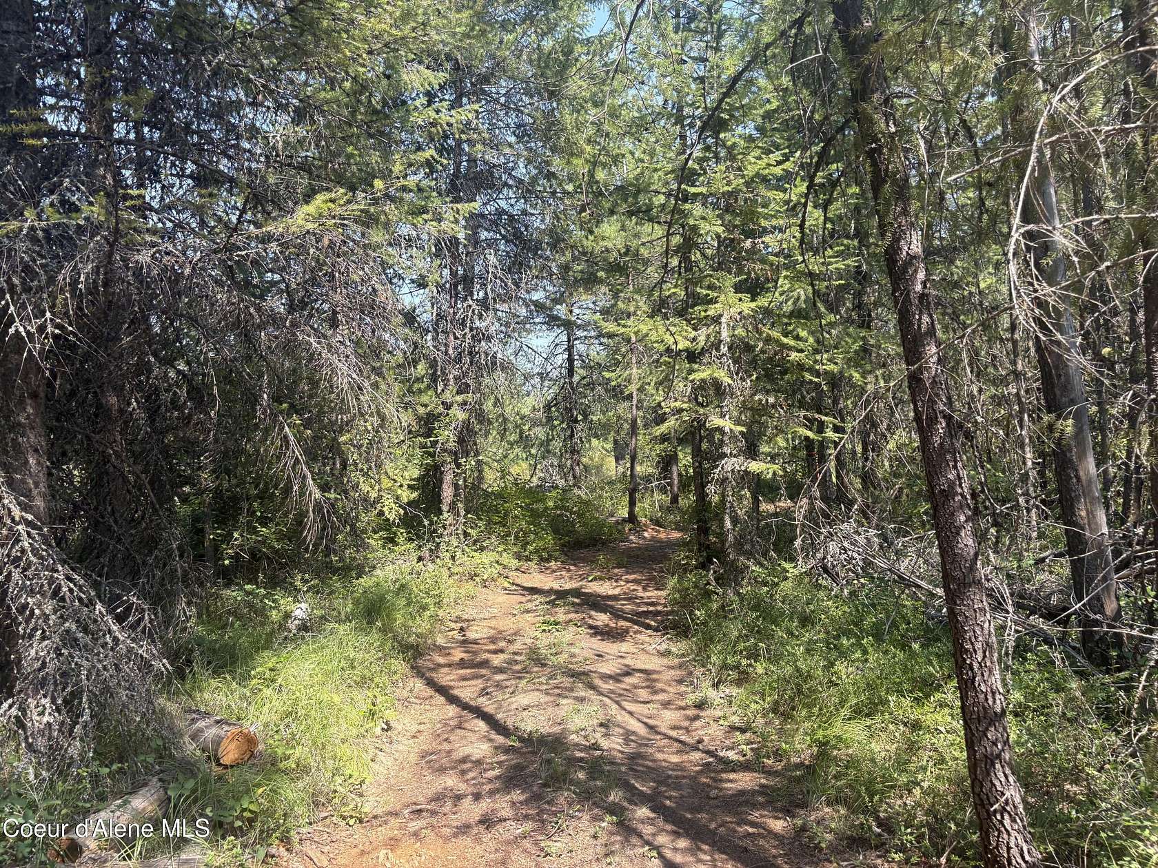 1 Acre of Residential Land for Sale in Spirit Lake, Idaho
